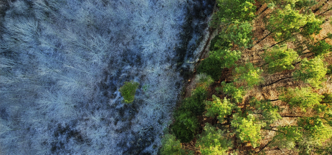 Adaptación al cambio climático: beneficios y prejuicios