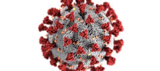  Cómo actuar si alguien de tu entorno se contagia con el coronavirus