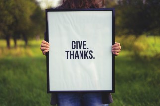 Efecto terapéutico de la gratitud
