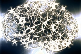 Neuroplasticidad; cambia tu vida